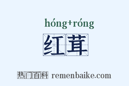 红茸是什么意思的图片